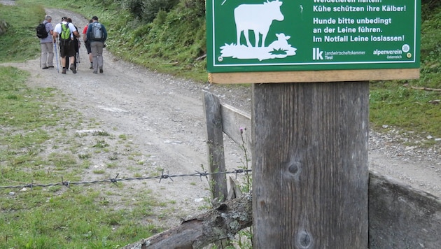 In Tirol wird mit solchen Tafeln vor Mutterkühen gewarnt.