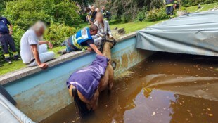 Das Pferd konnte aus seiner Misslage gerettet werden. 