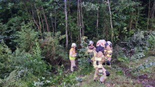 Der Wagen stürzte in einen Wald ab.