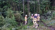 Der Wagen stürzte in einen Wald ab.