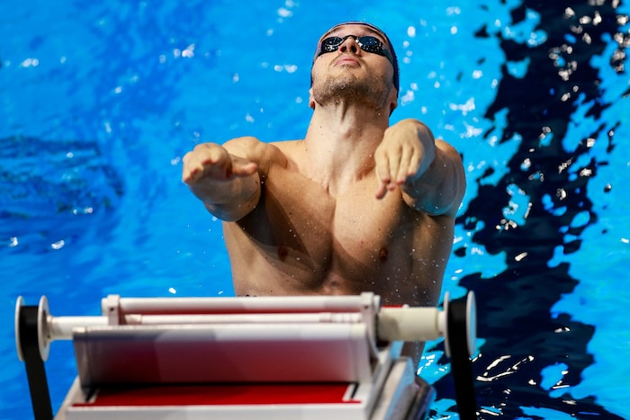 Bernhard Reitshammer