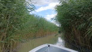 Der Kanal in der Ruster Bucht.