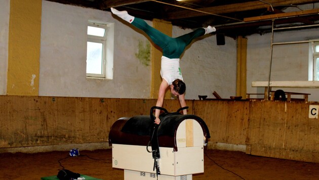 Es wird in Stadl-Paura nicht nur auf echten Pferden geturnt.