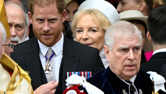 Prügel-Alarm im Palast: Hat Prinz Harry Andrew die Nase blutig geschlagen?