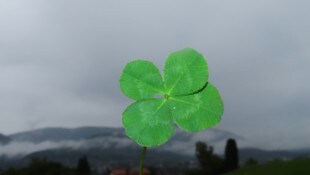 „Trüb und regnerisch am Sonntag auch in Villach – wann wird es wieder Sommer?“, ...