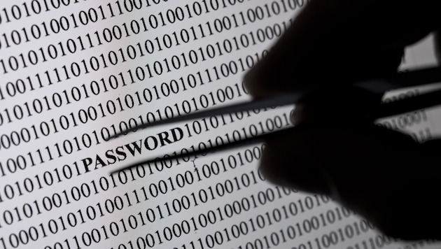 Auch erfahrene Internetnutzer erwischt es immer häufiger.