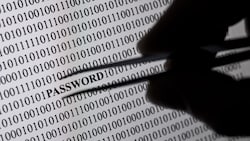 Auch erfahrene Internetnutzer erwischt es immer häufiger.