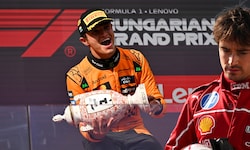Großer Jubel bei Lando Norris (l.), bittere Enttäuschung bei Charles Leclerc (r.)