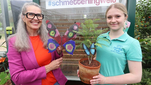 Herrin über bunte Falter-Vielfalt: Schmetterlinghaus-Chefin Susanne Rahofer mit Werkstudentin ...