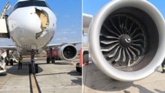 Der Geier kollidierte kurz nach dem Start mit einem Flugzeug der Airline Iberia und verursachte ...