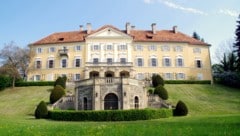 Das Schloss Halbenrain bietet 4500 Quadratmeter Grund.