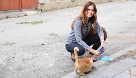 Sabine Neschner hat sich Katzenschutz auf die Fahne geschrieben und freut sich über ...