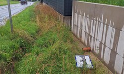 Wenige Meter neben dem Ortsschild wurde das gestohlene Taferl gefunden.