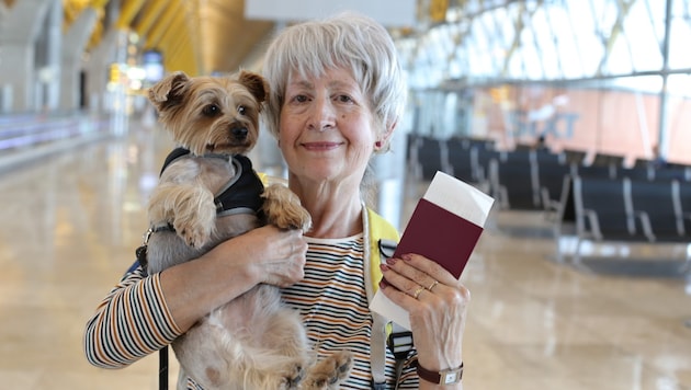Egal, ob Hund, Katze, Vogel oder anderes Getier: Die Transport-Experten von „Woof Airlines“ sind ...