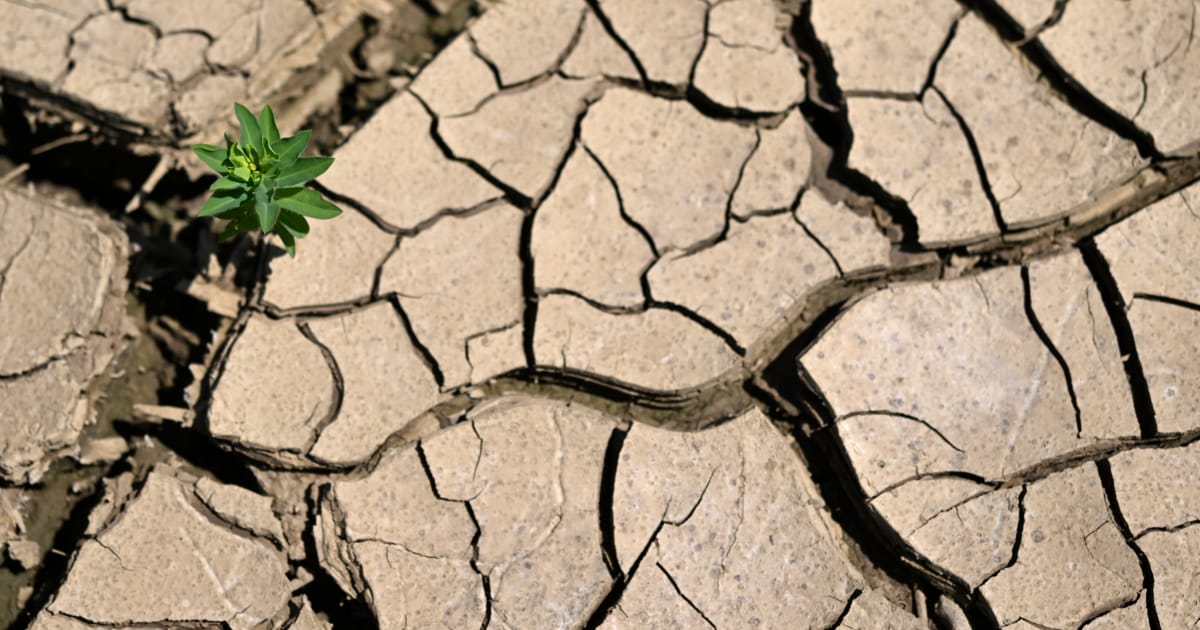 Hohe Kosten - Weltweite Klimaschäden auch für Österreich teuer