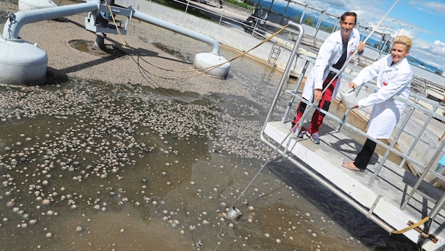 Entsorgungsreferentin Sandra Wassermann kann den Kläranlagenumbau starten.