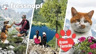 Die besten Ausblicke mit Fell, Pfote und Kamera: das sind unsere Stars der Woche.