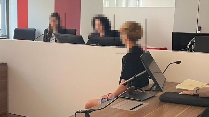 Am Dienstag musste sich ein 15-Jähriger am Landesgericht verantworten, der Schmiere gestanden ...