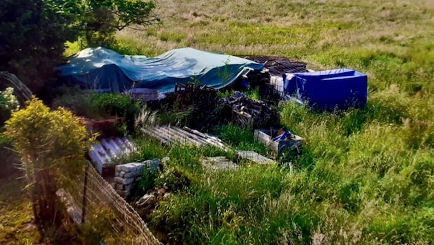 Darf es in einem Garten so aussehen? Laut Baugesetz müssen Eigentümer auf einen gepflegten ...