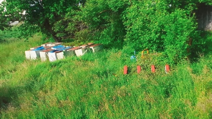 Besorgten Bewohnern bereitet dieser Anblick Kopfzerbrechen.