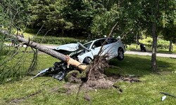 Das schwerbeschädigte Auto