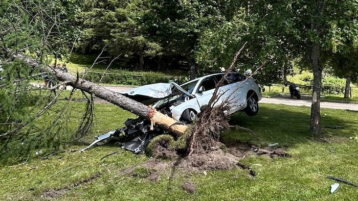 Das schwerbeschädigte Auto