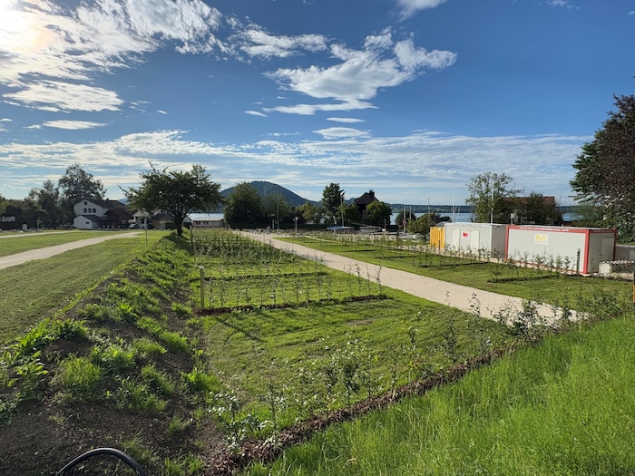 In Weyregg am Attersee entstand ein Campingplatz, der Einnahmen generiren soll.
