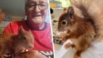 „Valentino“ mit „Mama“ Manfred und beim Verdrücken eines Snacks.