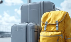 Zwei Koffer hatte die Frau dabei – beide waren gut gefüllt. 