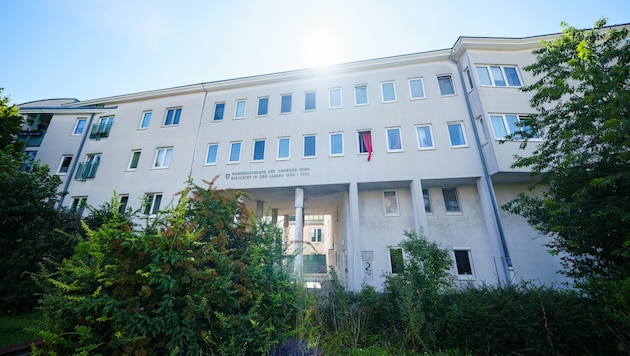 Allein wegen seiner sexuellen Orientierung musste ein Gemeindebau-Bewohner schlimmste ...
