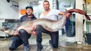 Maurice Karr und Florian Haag präsentieren stolz den von ihnen gefangenen Riesenwels.
