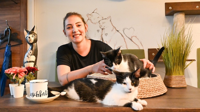 Verena Kulterer betreibt eines von zwei Katzencafés in Österreich.