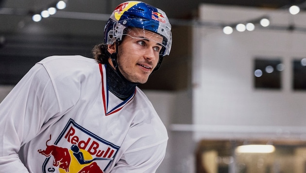 Will sich durchsetzen: Eisbulle Philipp Wimmer.