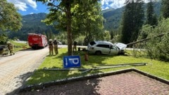 Die Alkofahrt eines 36-jährigen Vaters mit seinem Sohn im Auto endete an einem Baum.