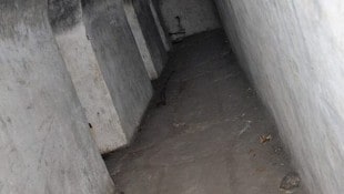 Das Paar plant, bis November den Boden zu verlegen und den Bunker zu streichen, will aber ...