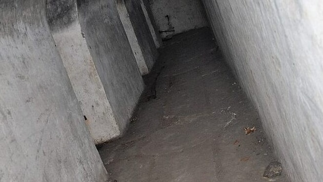 Das Paar plant, bis November den Boden zu verlegen und den Bunker zu streichen, will aber ...