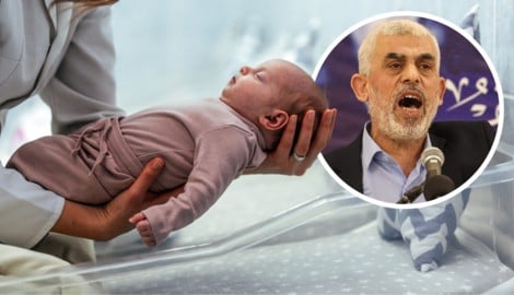 Frisch geschlüpft, vollkommen unschuldig – und doch manchmal „vorbelastet“: Ein Baby in Leipzig ...