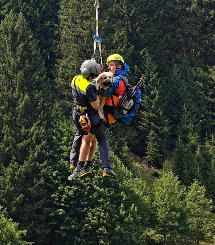 Das schwer verletzte Tier wurde samt seinem Besitzer ins Tal geflogen.