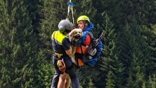 „Nala“ wurde mittels Taubergung aus der alpinen Notlage gerettet. 