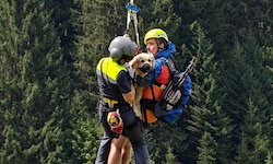„Nala“ wurde mittels Taubergung aus der alpinen Notlage gerettet.