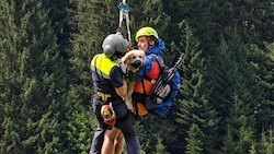 „Nala“ wurde mittels Taubergung aus der alpinen Notlage gerettet.