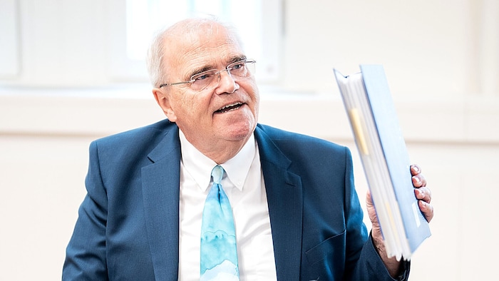 Ex-Minister Wolfgang Brandstetter „konnte nicht klar denken“.