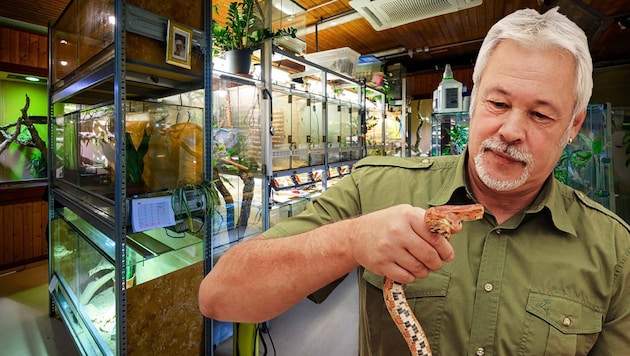 Werner Stangl weiß, was bei der Pflege von Amphibien und Reptilien wichtig ist.