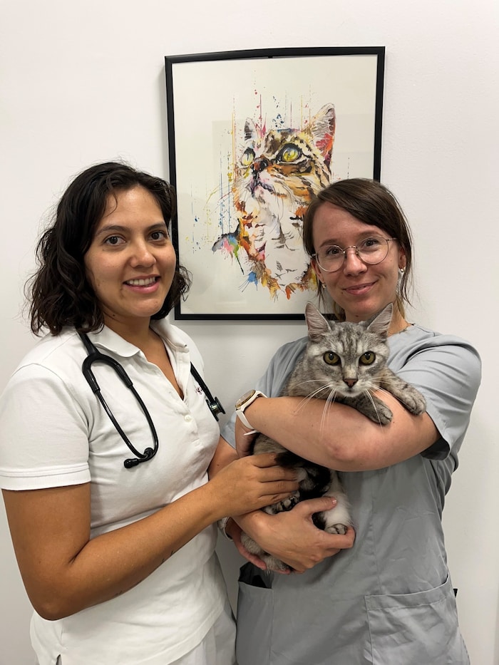 Tierärztin Tatjana Haider (rechts) mit ihrer Kollegin Jessica Hernandez und Kater Rasputin.