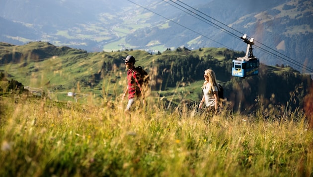 Das Gebiet am Kitzbüheler Horn wird unsere Wanderer begleiten