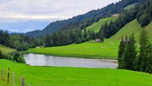 Der Lecknersee kann auf dieser Wanderung als erste Pausenstation genutzt werden.