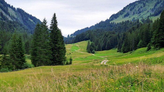 und fleischfressende Pfanzen: All das findet man im Lecknertal.