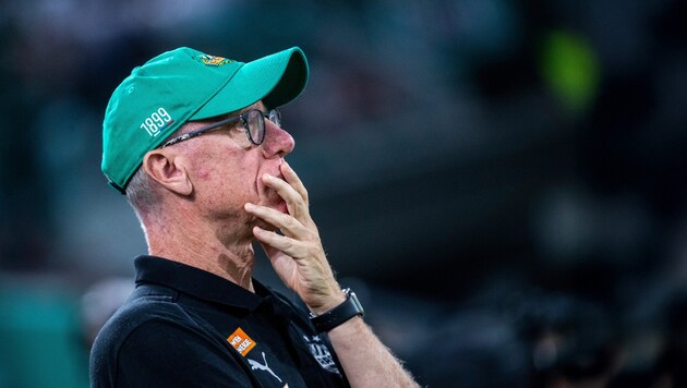 Rapid-Trainer Peter Stöger