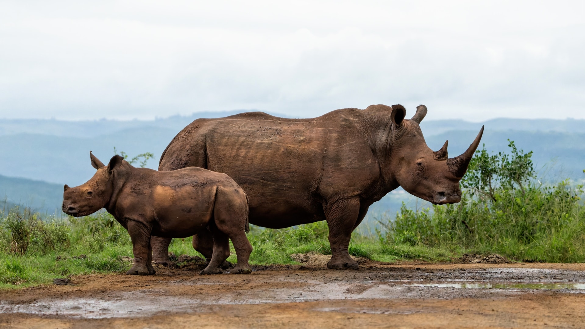 Cherry crush onlyfan Cherry Crush has an estimated net