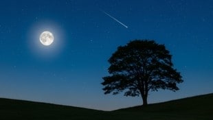 Bei Vollmond sind weniger Sternschnuppen zu beobachten, da der Erdtraband diese mit seinem ...